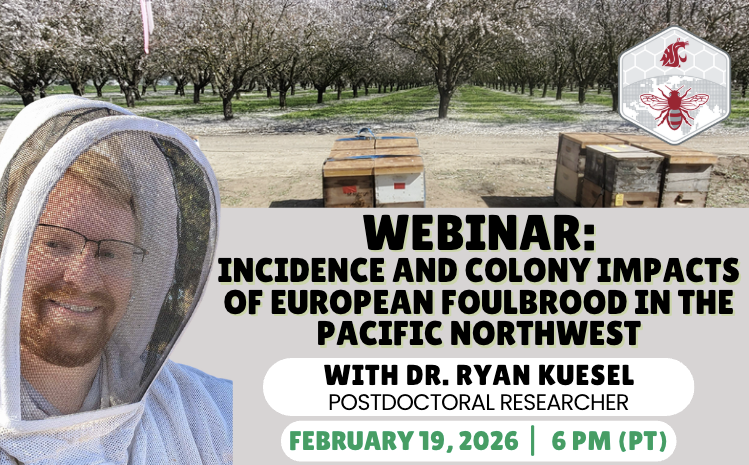 advertisement for webinar, decorative purpose only